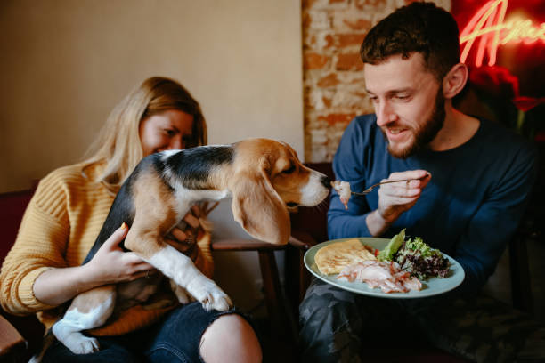 istock Couple feeding dog from fork in cafe 1183097577