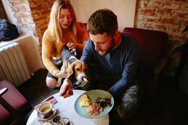 istock Couple feeding dog from fork in cafe 1183097608