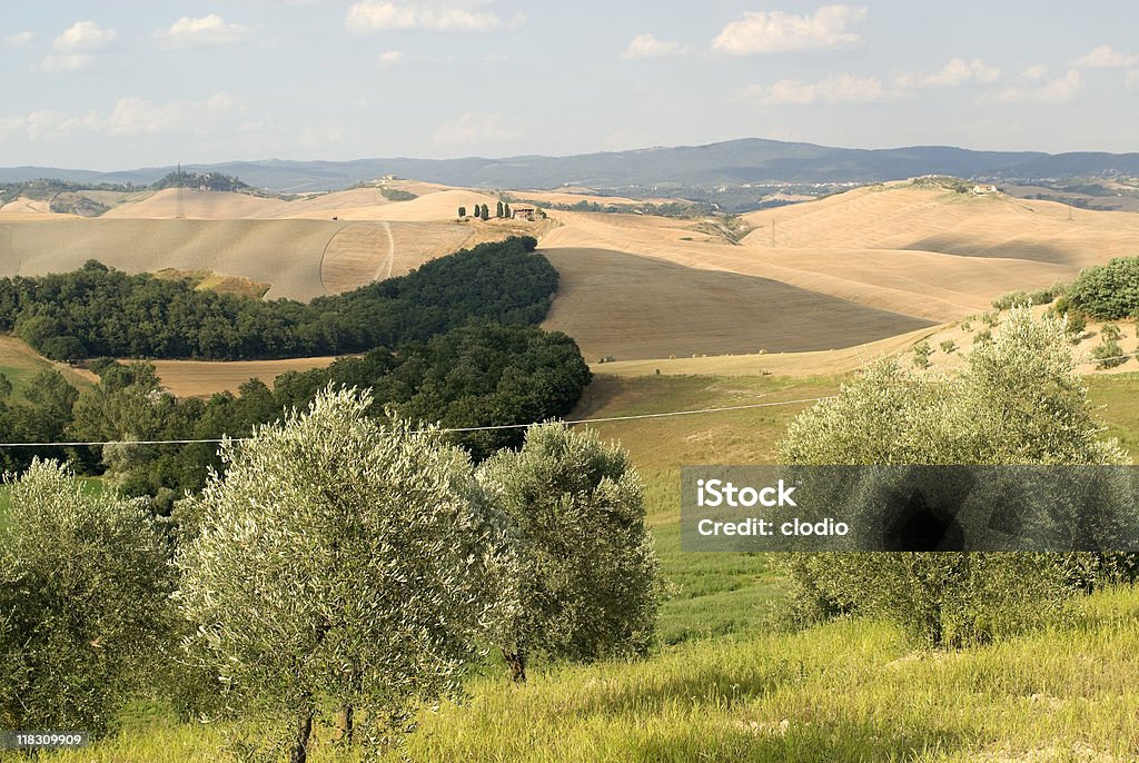 Hügellandschaft Crete senesi, Landschaft in Val d'Orcia (Siena und der Toskana - Lizenzfrei Agrarbetrieb Stock-Foto