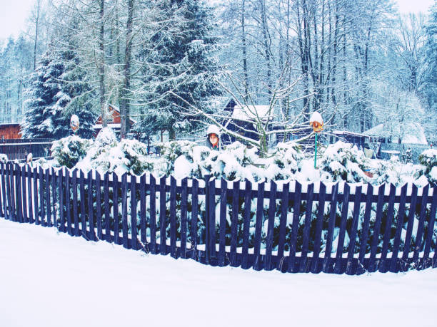 istock Cut off head on the fence like a house keeper. 1183100659