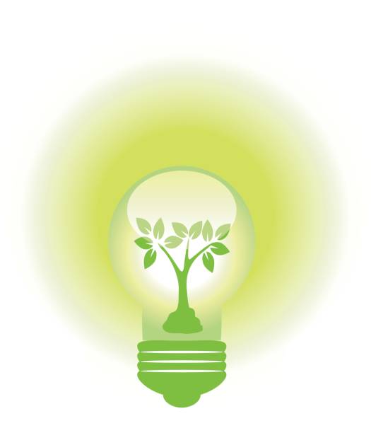 Eco conservation light bulb vector art illustration