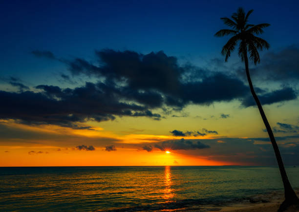 istock beautiful sunset of the caribbean 1183102251