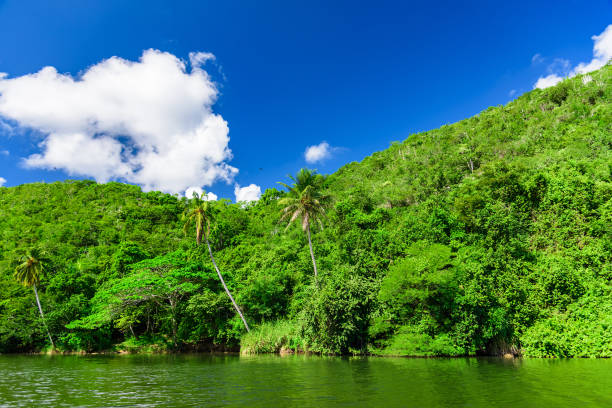 istock Chevon River Dominican Republic 1183102254