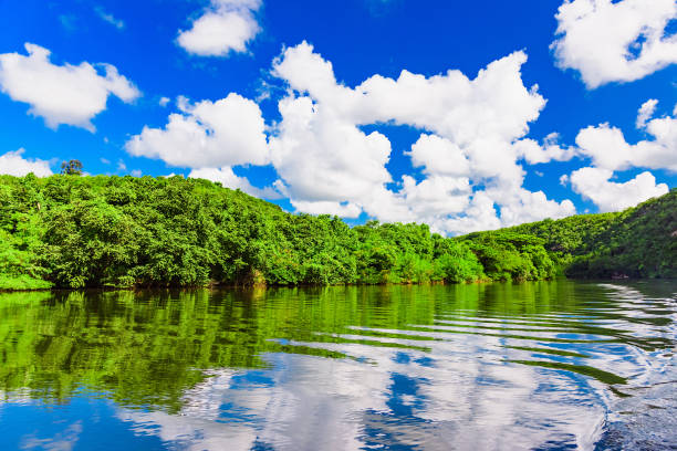 istock Chevon River Dominican Republic 1183102431