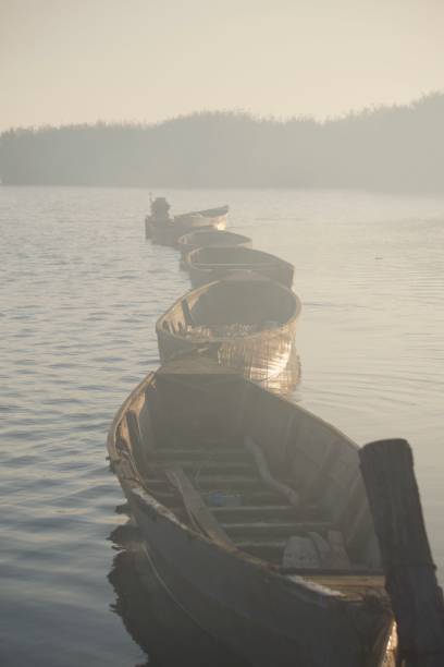 istock Boat on the lake 1183103203