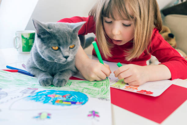 istock Child with cat drawing at home 1183104060