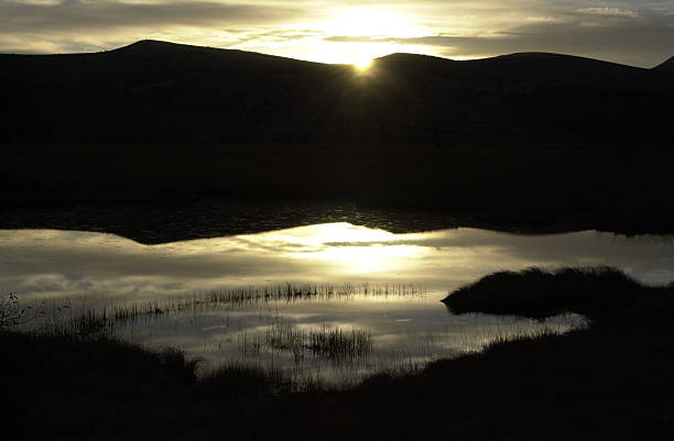 istock Sunrise of marshland 118310540