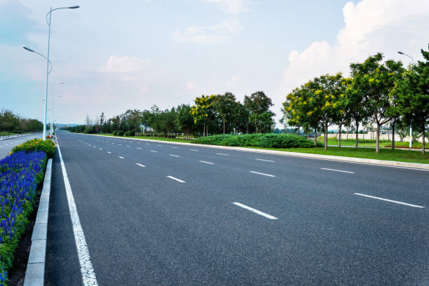 istock Trees and flower on the roadside 1183105798