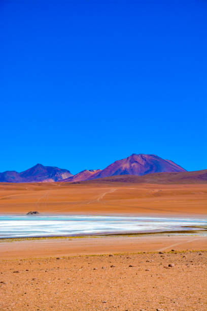 istock Laguna colorada in Bolivia 1183106135