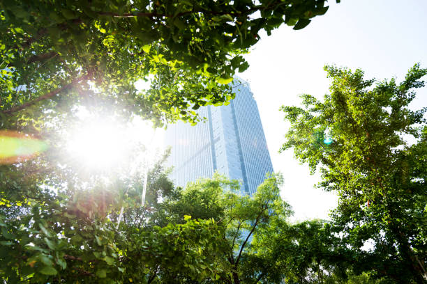 istock Modern office building and green leaves 1183107044