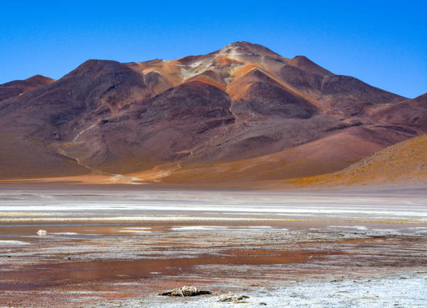 istock Laguna colorada in Bolivia 1183107554