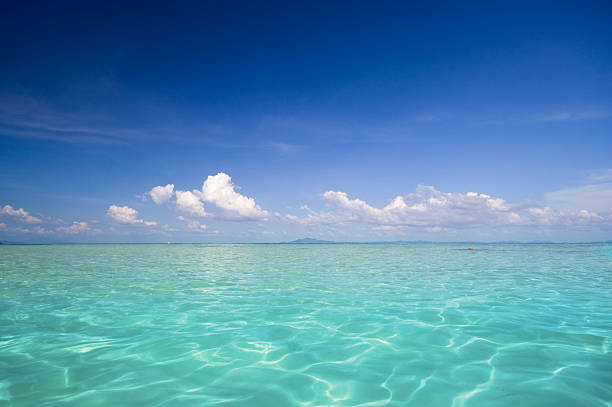 istock Beautiful Tropical Seascape 118310824
