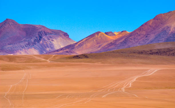 istock Laguna colorada in Bolivia 1183108533
