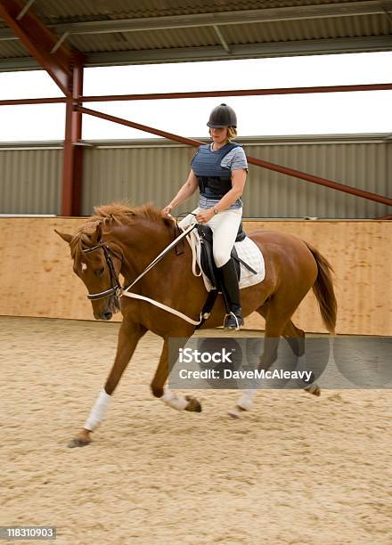 Photo libre de droit de Cheval De Dressage Et Femme Cycliste banque d'images et plus d'images libres de droit de Adulte - Adulte, Animaux domestiques, Cheval