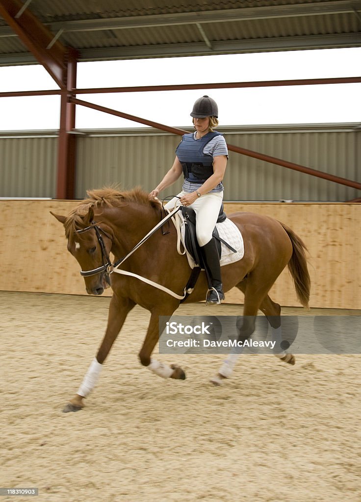 Cavaliere e cavallo di Dressage donna - Foto stock royalty-free di Adulto