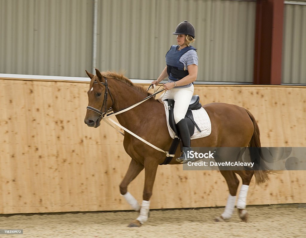 Dressage horse and woman rider  Horse Stock Photo