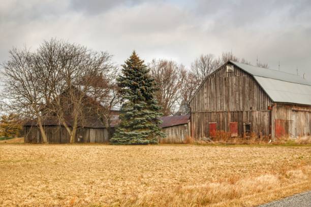 istock 0595 - Frankenmuths Flint Street Farm 1183110823