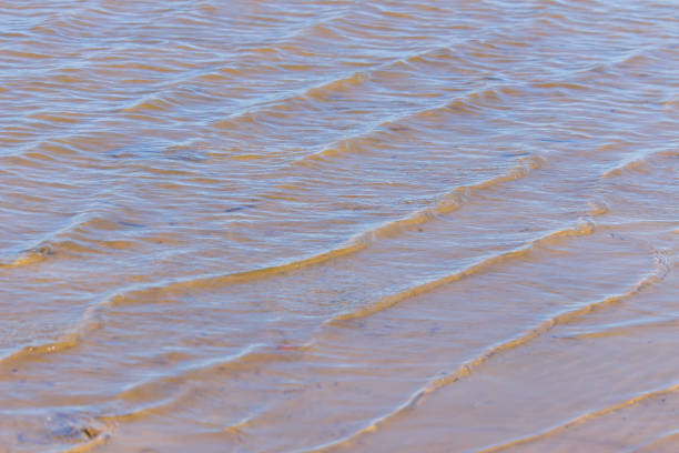 istock waves in the water on the sand 1183113781