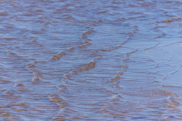 istock waves in the water in a river 1183114477