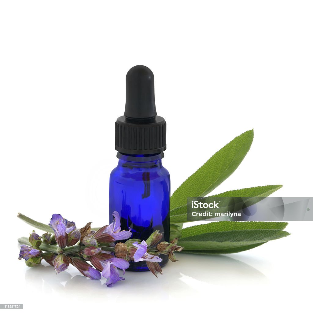 Sage Herb Therapy  Alternative Medicine Stock Photo