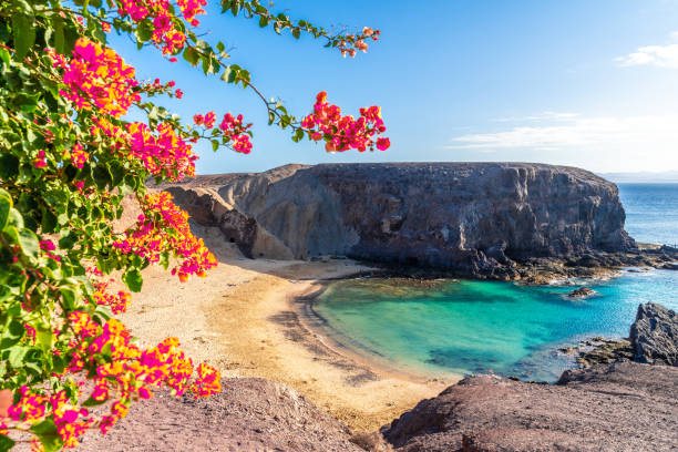 paisaje con playa de papagayo - isla de lanzarote fotografías e imágenes de stock