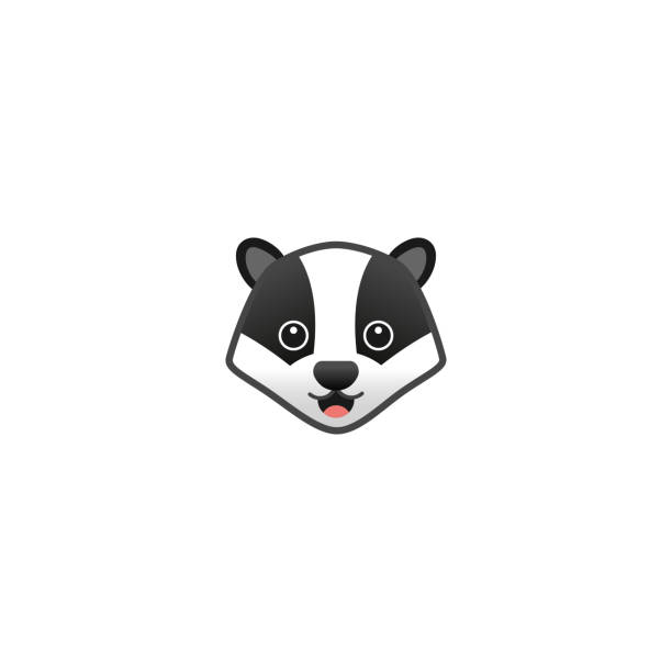 Badger Isolated Realistic Vector Icon. Badger Face, Head, Leather Illustration Emoji, Emoticon, Icon Badger Isolated Realistic Vector Icon. Badger Face, Head, Leather Illustration Emoji, Emoticon, Icon badger stock illustrations