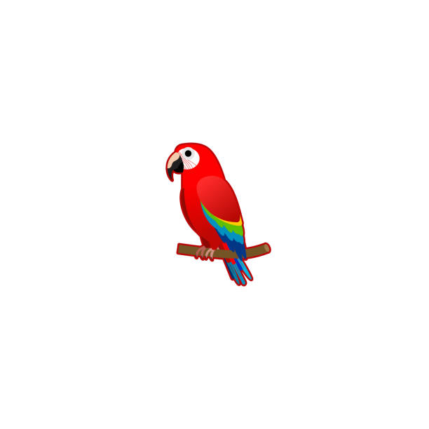 Green-winged Macaw Isolated Realistic Vector Icon. Parrot, Tropical Colorful Bird Illustration Emoji, Emoticon, Icon Parrot Isolated Realistic Vector Icon. Parrot, Tropical Colorful Bird Illustration Emoji, Emoticon, Icon green winged macaw stock illustrations