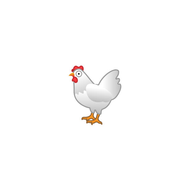 닭 격리 현실적인 벡터 아이콘입니다. 헨 만화 일러스트 이모티콘, 이모티콘, 아이콘 - chicken livestock isolated white background stock illustrations