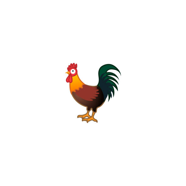illustrations, cliparts, dessins animés et icônes de icône réaliste de vecteur d'isolement de coq. coq, cockerel cartoon illustration emoji, emoticon, icône - poule naine