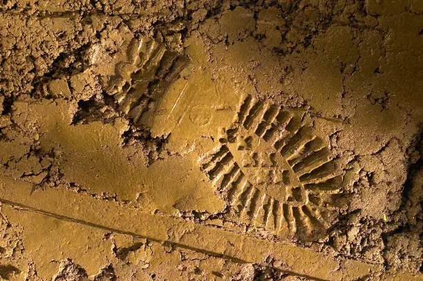 Photo of Imprint of the shoe on mud