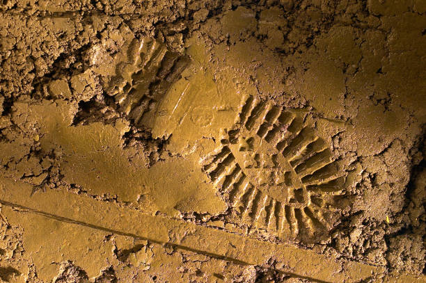 imprint of the shoe on mud - dirt road textured dirt mud imagens e fotografias de stock