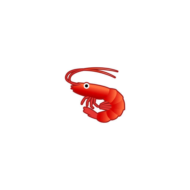 Shrimp Isolated Realistic Vector Icon. Red Shrimp Seafood Illustration Emoji, Emoticon, Sticker Icon Shrimp Isolated Realistic Vector Icon. Red Shrimp Seafood Illustration Emoji, Emoticon, Sticker Icon shrimp prepared shrimp prawn cartoon stock illustrations