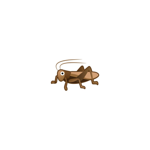 kriket i̇zole gerçekçi vektör simgesi. kriket böcek i̇llüstrasyon emoji, i̇fade, sticker simgesi - cırcır böceği böcek stock illustrations