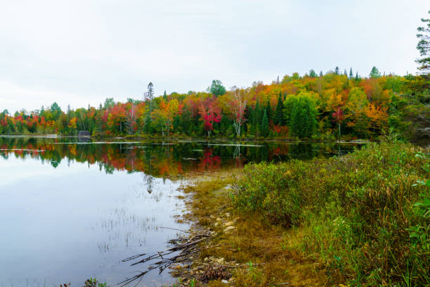 istock Lake Masson, in the Laurentian 1183122272
