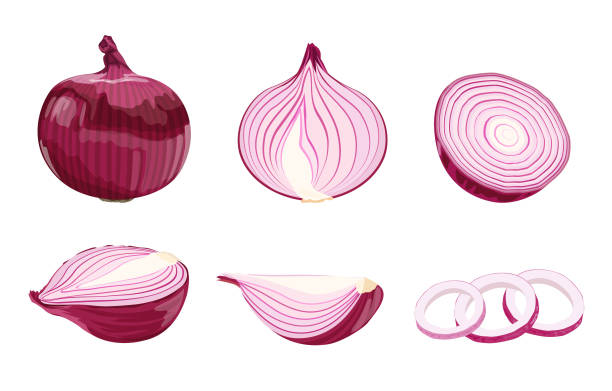 ilustraciones, imágenes clip art, dibujos animados e iconos de stock de conjunto de cebollas rojas de dibujos animados planos aisladas - onion