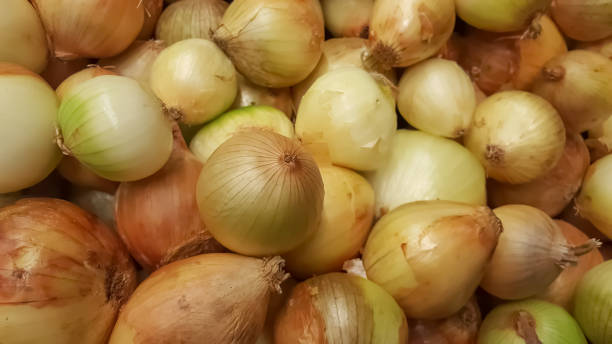 istock View of several raw onions on sale counter 1183126135