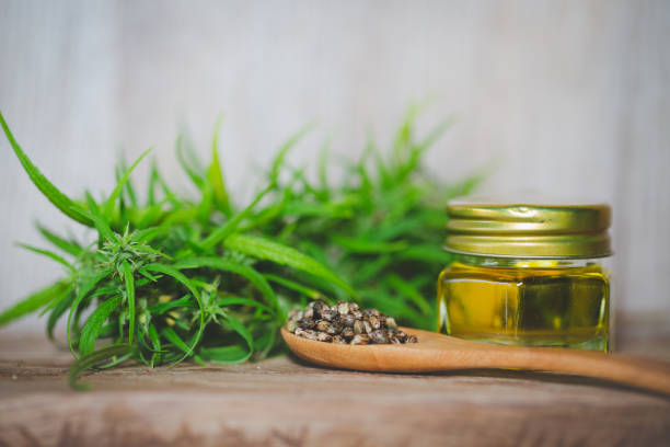 Hemp seeds and hemp oil on wooden table. Hemp seeds in wooden spoon and hemp essential oil in small glass bottle. cannabis oil cbd. Hemp seeds and hemp oil on wooden table. Hemp seeds in wooden spoon and hemp essential oil in small glass bottle. cannabis oil cbd. grain and cereal products stock pictures, royalty-free photos & images