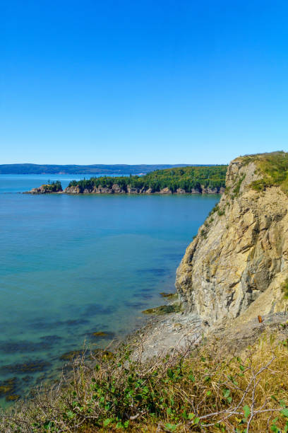 istock Shoreline and cliffs in Cape Enrage, New Brunswick 1183129379