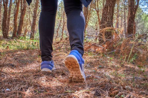 istock Woman walking in the woods 1183130011