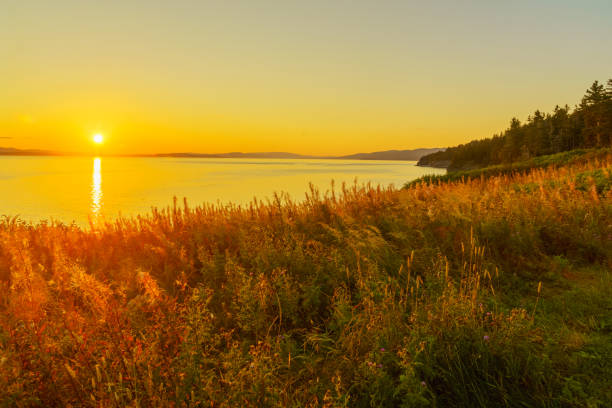 sunset in forillon national park - lawrence quebec canada north america imagens e fotografias de stock