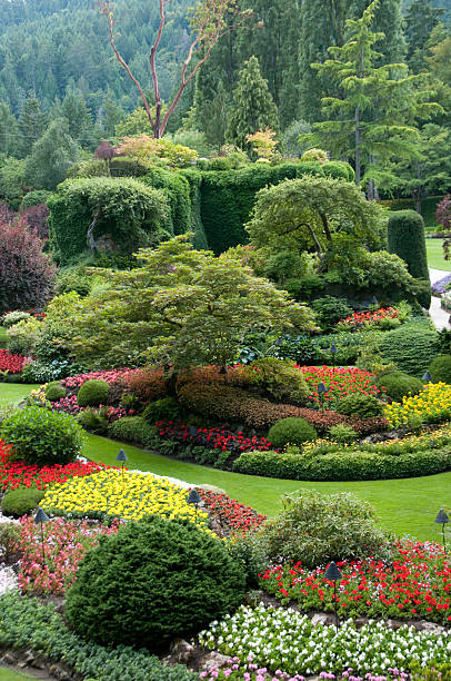 istock Butchart Gardens - Sunken Garden view 118313522