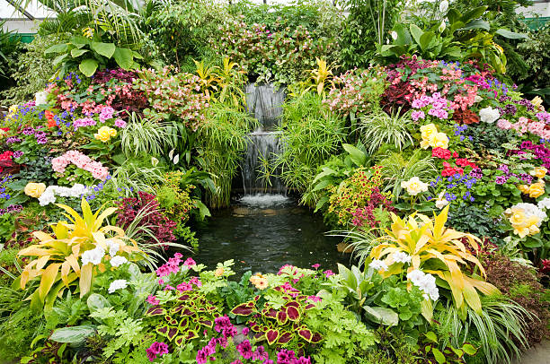 istock Flower display at Butchart Gardens 118313601