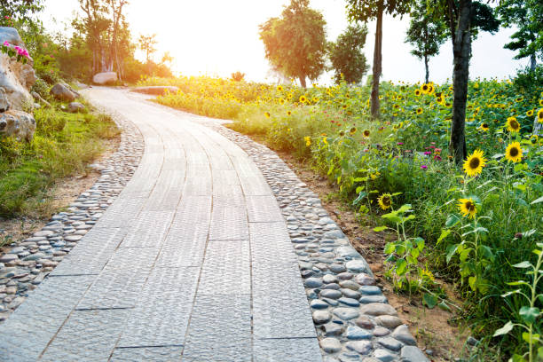 istock Stone footpath in the garden 1183139340