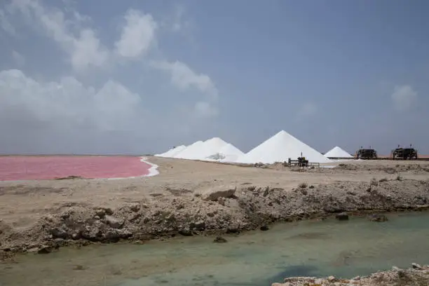 Photo of rose caribbean salt lake Bonaire island Caribbean Netherland Antilles