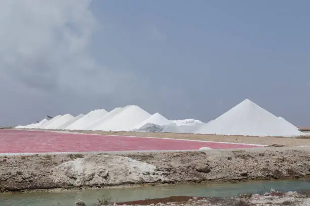 Photo of rose caribbean salt lake Bonaire island Caribbean Netherland Antilles