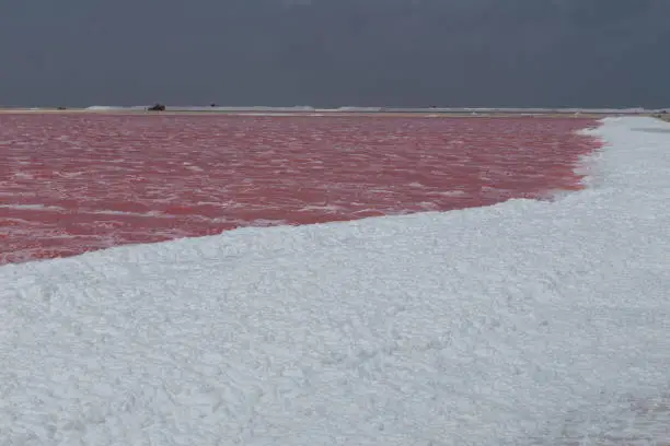 Photo of rose caribbean salt lake Bonaire island Caribbean Netherland Antilles