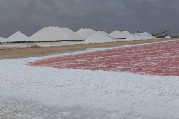 Photo of rose caribbean salt lake Bonaire island Caribbean Netherland Antilles