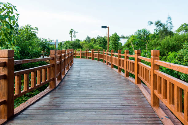 istock Wooden bridge through the forest 1183142613