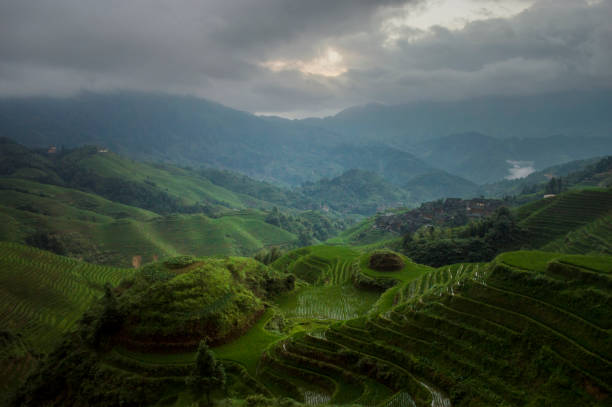 istock Dragons Backbone Rice Terraces Longsheng China 1183144289