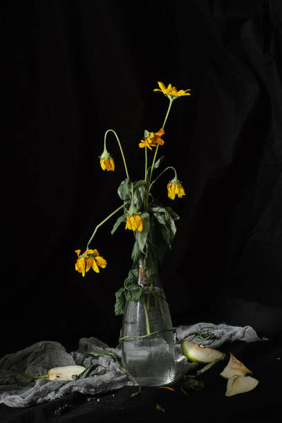 istock Withered flowers in a vase on a black background. 1183149005